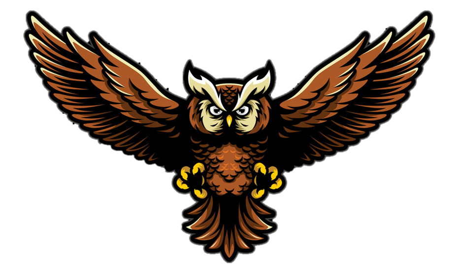 Home of the Mighty Owls 